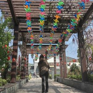 不时髦艺术家N 头像