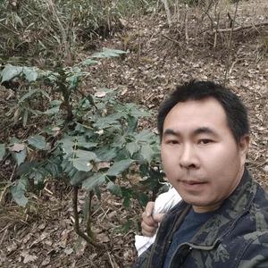 谭三农 头像