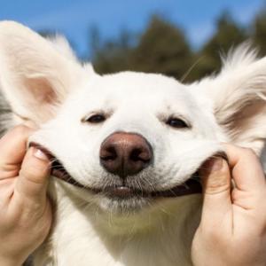 允儿的趣味科学 头像