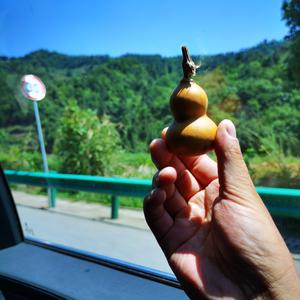 接针荣耀阿晟 头像