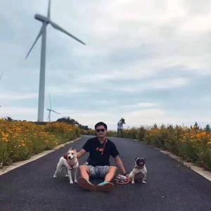 看不见的门和鹤的天空 头像