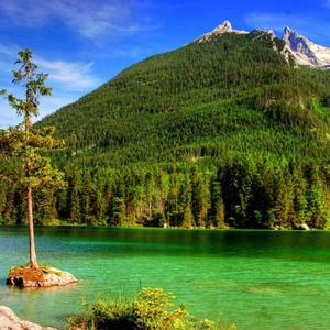 搞笑幸福冰淇淋sc5 头像