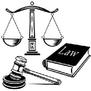 王者美国法律 头像