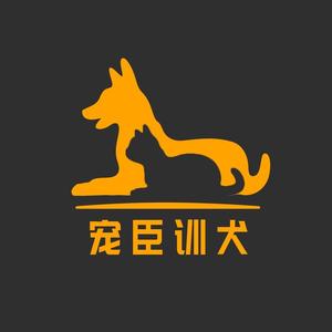 宠臣训犬头像