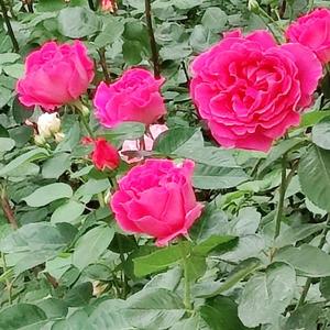 思考这个世界的人 头像