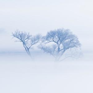 桃花潭文会 头像