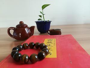 墨子轩开