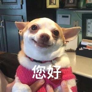 来自天上的馅儿饼 头像