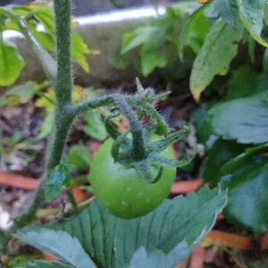 机电工控人生交流 头像