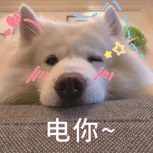 爆笑九門菌 头像