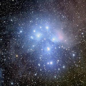 露营大玩家 头像