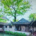 岚草3