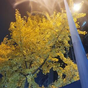 不拧巴日记 头像