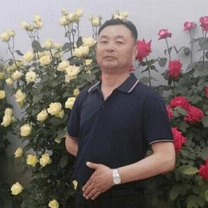 孝感杨保新头像