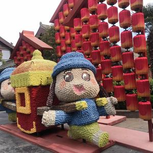 正直暖阳P 头像