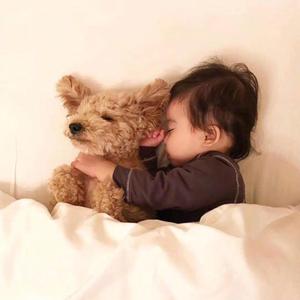 进步安德烈娅9v1 头像