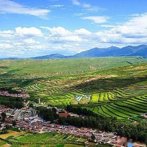 阶前听风客 头像