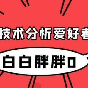 白白胖胖0头像