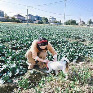 植得农村生活头像