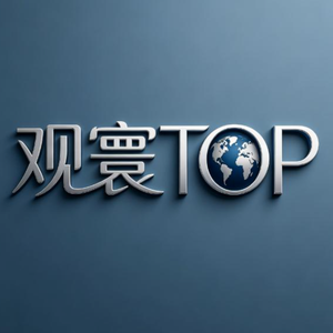 观寰TOP 头像