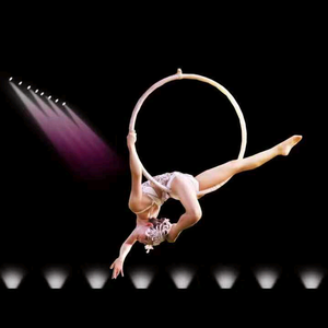 金凤凰演艺 头像