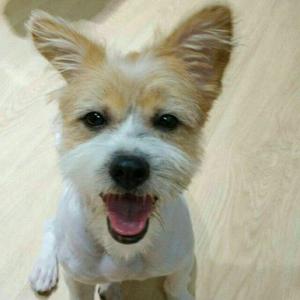 青九的阳光 头像