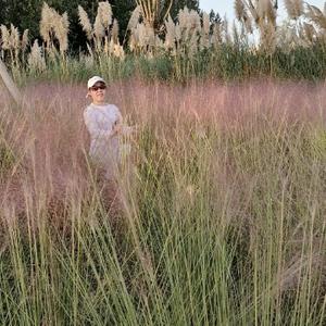 努力D霞姐 头像