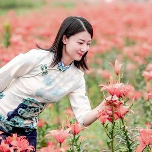 曲径通幽处 头像