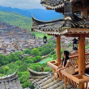 我是一颗小桐仔 头像