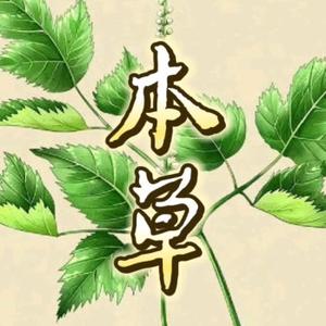 草本林头像