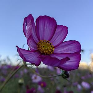 快乐远山wk 头像