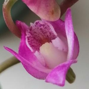 小颖老师谈职称 头像