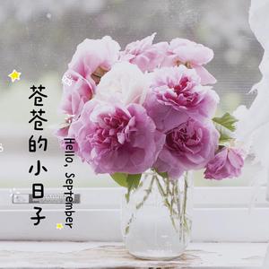 苍苍的小日子头像