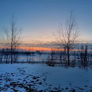 奋发有为星辰Xk 头像