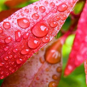 进步考特尼6o2M 头像