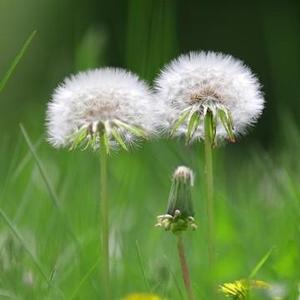 江湖写诗文 头像