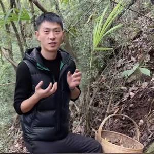 川农小韩 头像