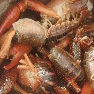 云淡风清YDFQ 头像