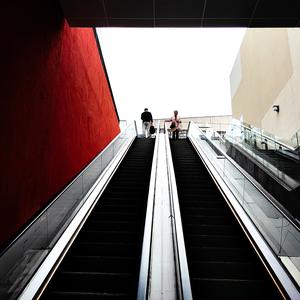 z手机摄影 头像