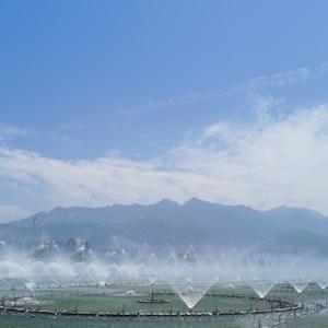 小桥流水0707 头像