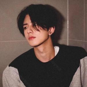 以温柔为聘 头像