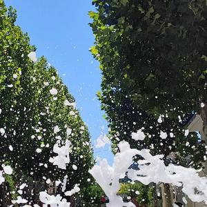 核桃记2023 头像