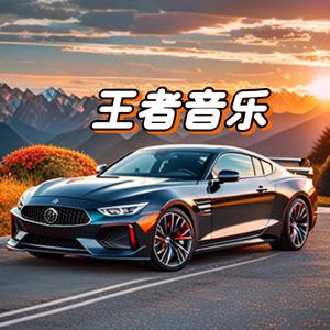 王者音乐 头像