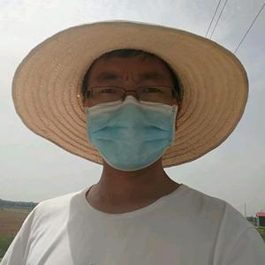 吕博士种莲藕 头像