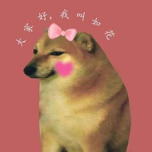 如花Cheems 头像