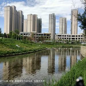 布衣陇山 头像