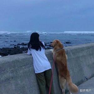 gitfk 头像
