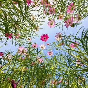 深夜里的风 头像