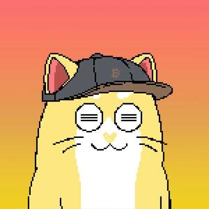 古今历史拾遗 头像