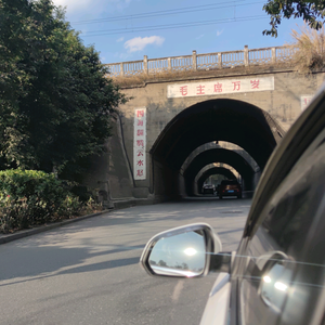 肥猫游戏视频 头像